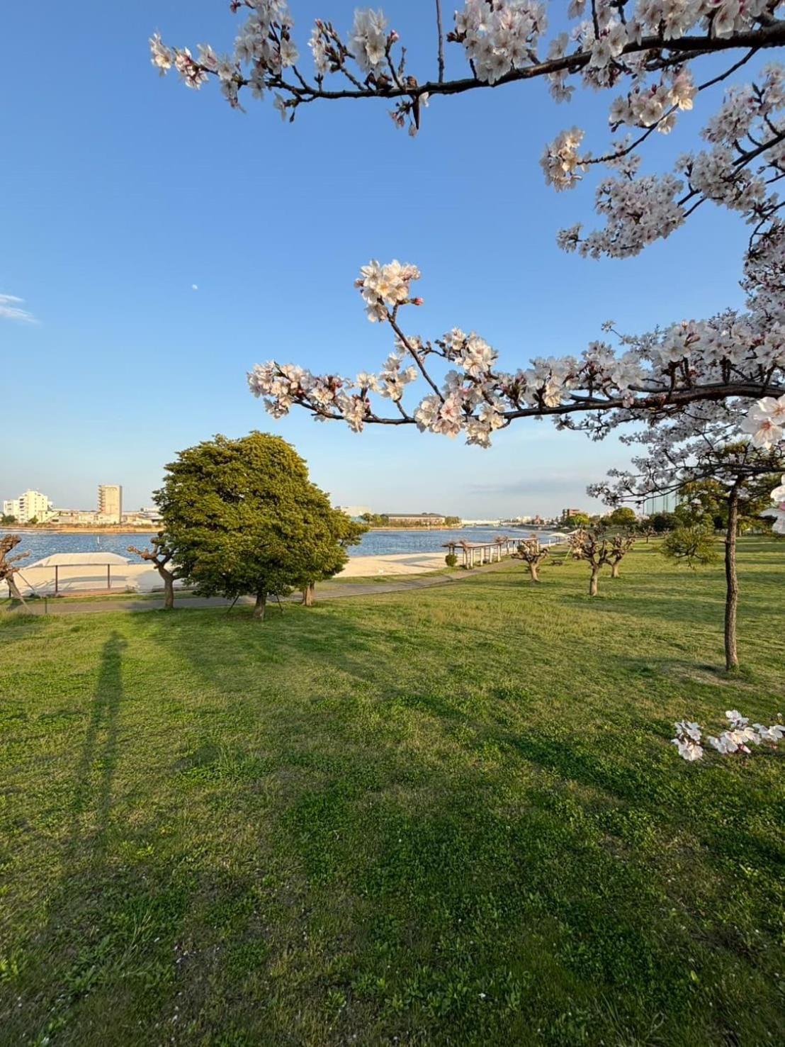 Vacation Inn Heiwajima I Токио Экстерьер фото